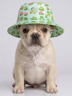 HD Rain Hat - Frogs